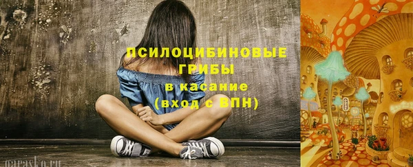 Альфа ПВП Михайловск