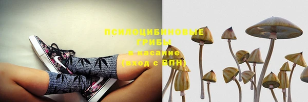 крисы Михайловка