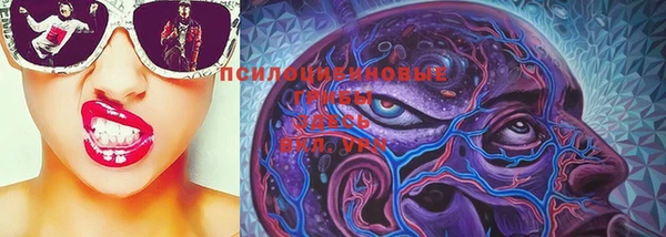 крисы Михайловка