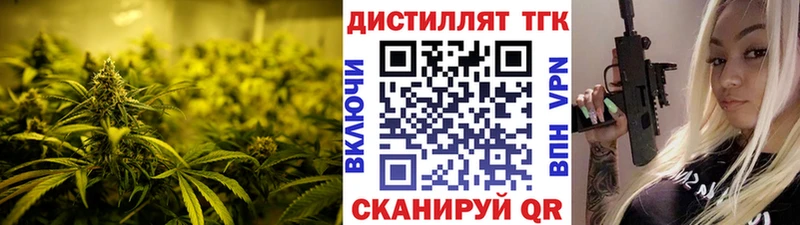 цена   Цивильск  ТГК концентрат 