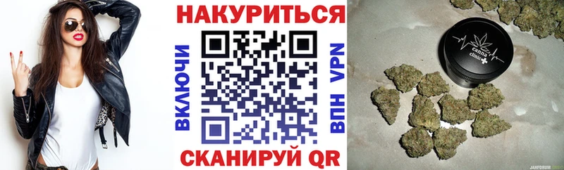 Бошки марихуана сатива  Цивильск 
